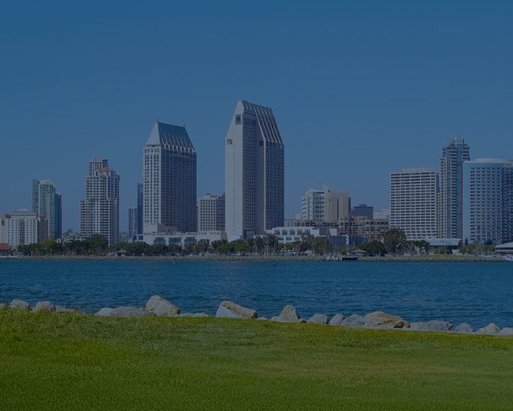 City Skyline